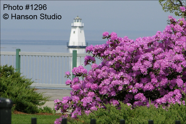Burlington, VT - Waterfront, North Light and Flowers